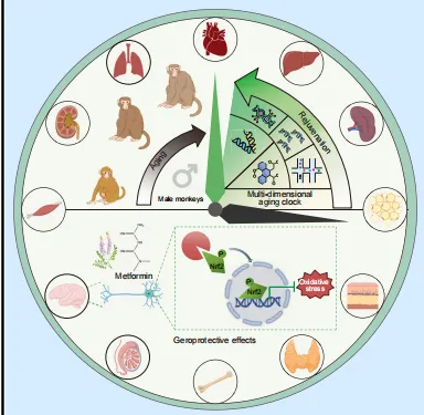 1737525361176136.png 微信圖片_20250122124647.png